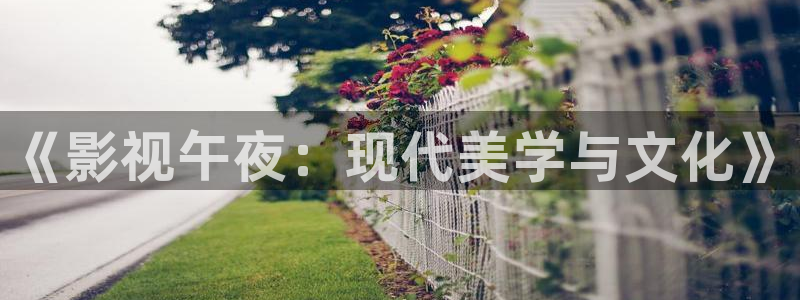 么么哒影院电视剧免费播放：《影视午夜：现代美学与文化》