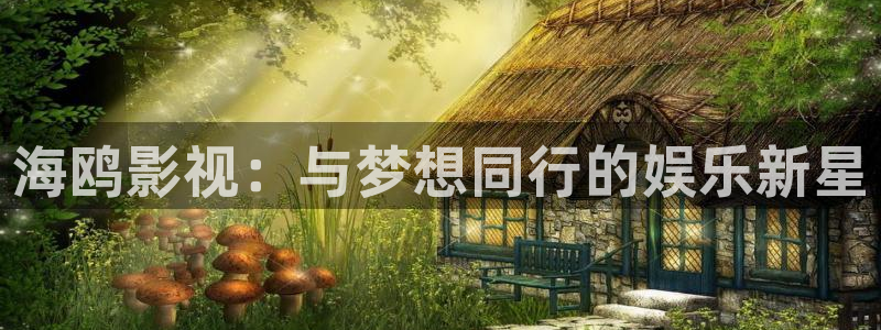 么么哒影院电视剧在线观看：海鸥影视：与梦想同行的娱乐新星