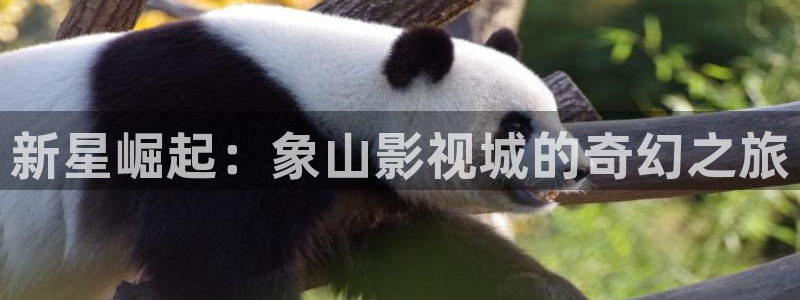 么么哒影院在线播放：新星崛起：象山影视城的奇幻之旅